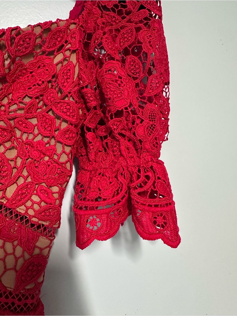 Self-Portrait Red Floral Lace Mini Dress - Picture 8 of 8